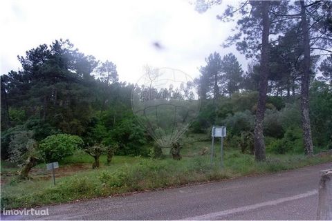 Land with feasibility for construction, has mains water and electricity in front. It has about forty feet facing tar road. The land consists of olive groves, pine forests and strawberry trees. It has a great sun exposure, ideal place for the construc...