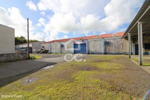 3 Independent Warehouses Land area 2.940,00 m2 3 Wc's Offices Cafeteria Independent Entrance Rosto de Cão is the name given to the section of the south coast of the island of São Miguel, Azores, located in the vicinity of the Rosto de Cão Islet, abou...