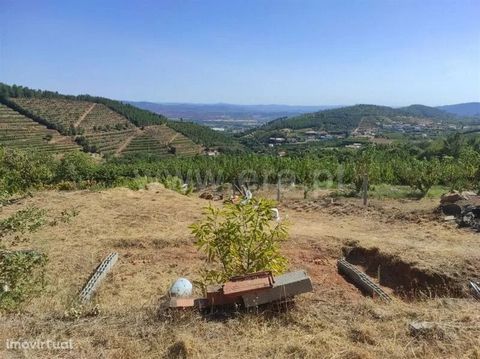 Detached farm with an area of more than 1Ha. Location close to Alcongosta. Highlight for the fertile soil with several areas of fruit. It also has mountain and forest views and good access. Features Kind Agricultural Zone Access: Tarmac, Dirt Central...