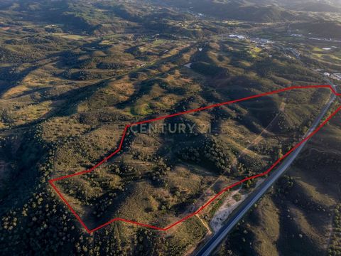 Terreno rústico com 24,436 ha (244.360 m²), composto por cultura arvense e sobreiros. Localizado em Vale da Vila, freguesia de S. Marcos da Serra. Próximo da A2, dista 30Km de Silves e 39Km de Albufeira. Junto e paralelo à IC1 que, a sul, ainda lhe s...