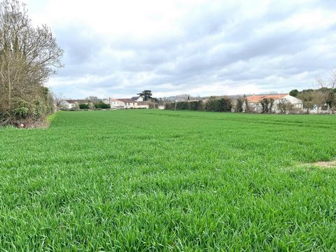 Terrain constructible de plus de 5000 m2