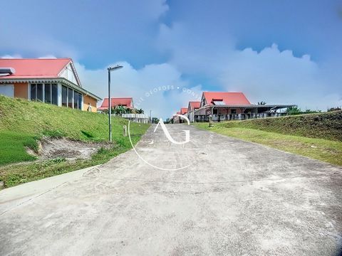 photo no. 3