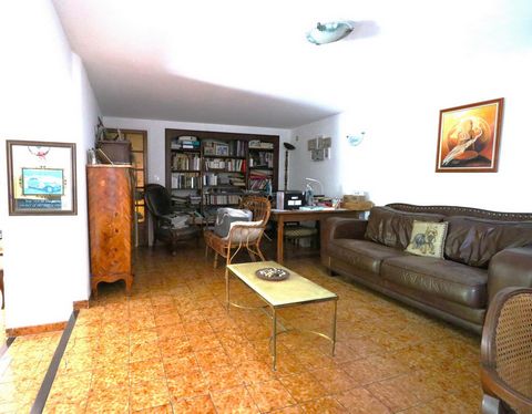 photo no. 9