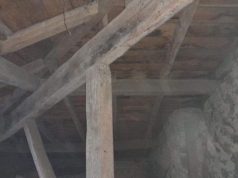 photo no. 8