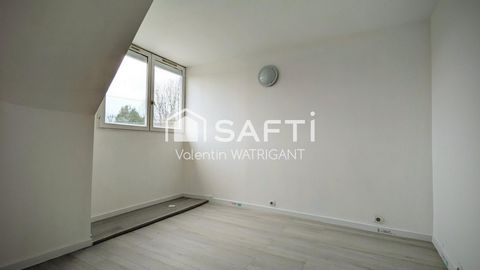 photo no. 7