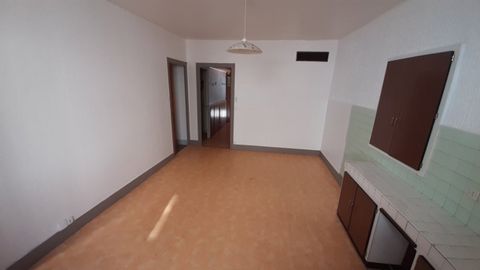 photo no. 7