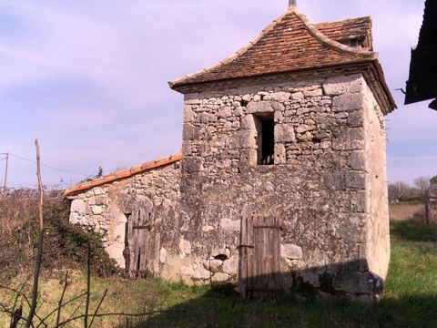 photo no. 12