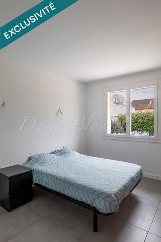 photo no. 12
