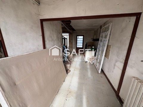 photo no. 11