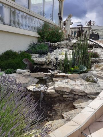 photo no. 13