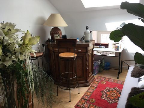 photo no. 10