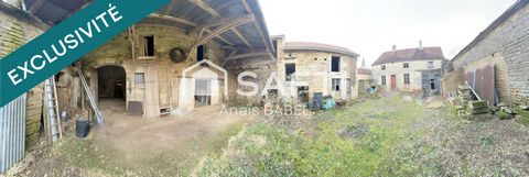photo no. 13