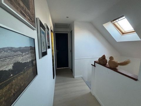 photo no. 12
