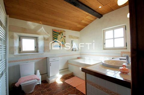 photo no. 13
