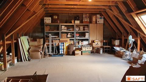 photo no. 16