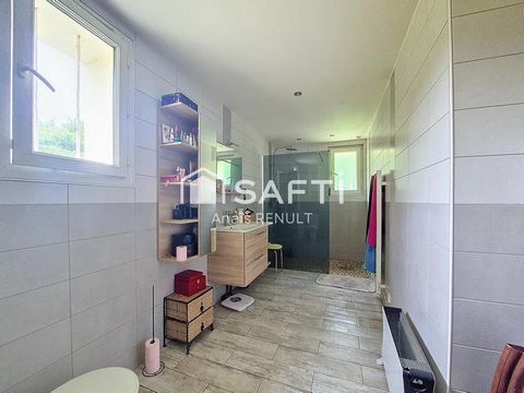 photo no. 12