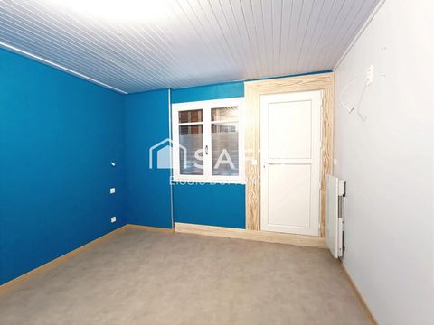 photo no. 16
