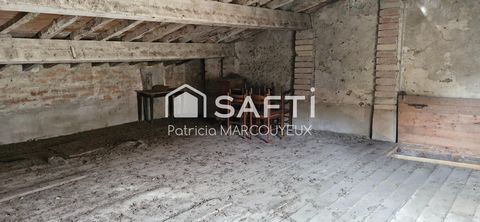 photo no. 5