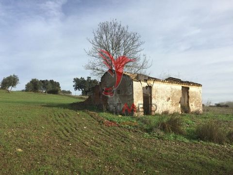 Mount Alentejo in Avis located in the middle of the Alentejo plain. The house of 39 m2 and agricultural dependence with 14 m2, are in ruins. The land with 4,075 hectares composed in its entirety by traditional olive grove, confines with a small strea...