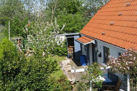 Located near the Wadden Sea, this holiday cottage has a view overlooking a National Park with rich bird wildlife. At the right time of year, you can experience a natural phenomenon called black sun, where nearly a million starling birds seek rest in ...