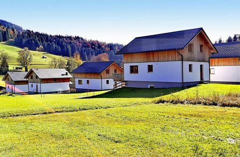The charming holiday resort, with a total of 7 chalets, offers comfortable houses for up to 12 people. Enjoy an idyllic and cozy summer or winter holiday in a well-equipped hut in the heart of the Loser ski and hiking area. This holiday village is id...