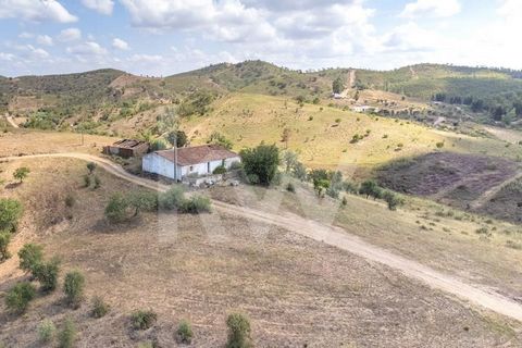 It is right in the centre of the Algarve Sierra in the parish of S. Marcos da Serra that you can find this house. Located on the top of the hill where the landscape blends with the horizon through a magnificent palette of greens that only the Sierra,...
