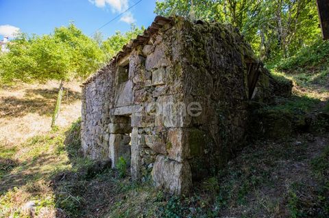 Property ID: ZMPT540422 Rustic land in Ferral, Montalegre, with 230m2. It is located a few meters from the Misarela Bridge (Mythical place), a few minutes from the 7 Lagoons, the Tahiti Waterfall, a place with several pedestrian trails and many other...