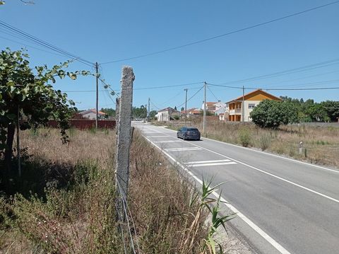 Terrain de 40 mètres en face de la EN109 dans la paroisse de Carriço Pombal, composé de deux articles matriciels. Le terrain a deux façades, l’une pour la route nationale 109 et l’autre pour une route municipale, ce qui permet un accès facile. Idéal ...