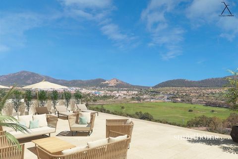 Spectacular apartment of 263 m2 located in the prestigious area of Santa Ponsa, for sale.The property has 4 bedrooms 3 bathrooms (2 of them en suite) fully equipped kitchen, terrace of 108 m2, elevator, communal garden, swimming pool.Extras: Central ...