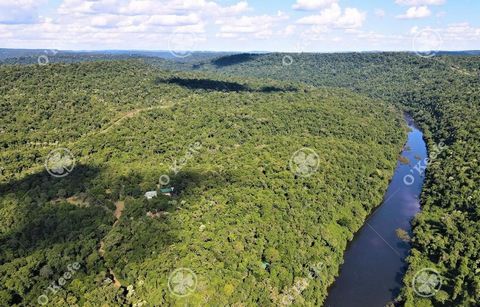 Grandes étendues de forêt indigène en Argentine (province de Misiones) Zone de jungle exceptionnelle, unique en son genre, avec une grande capacité à générer des crédits carbone. Situation géographique : La province de Misiones est située entre 26°55...