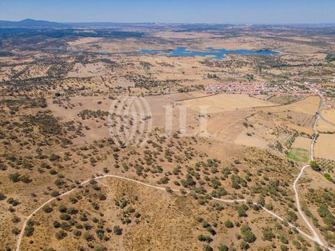 Herdade dos Vicentes, 64 ha of land, is located in the parish of Terena, in the municipality of Alandroal, in Évora. It mainly consists of holm oak forests (a type of cork oak forest), but more than 50% of the area can be used to grow vines, as there...
