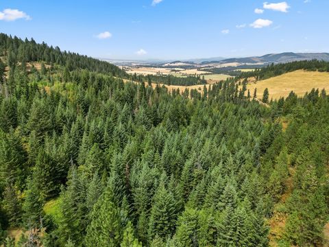 Nestled in the heart of Idaho, this stunning 40-acre surveyed timber parcel offers an exceptional opportunity for those seeking a place to build a get-away cabin or mountain home with boundless outdoor adventures. Situated just off Bluegrass Lane, a ...