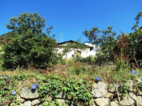 Small farm with 1960 M2 in Monchique, with the possibility of building a single-family house in the heart of the beautiful village of Monchique. There is also a water tank and two water mines on the same property. Come to know this excellent investme...