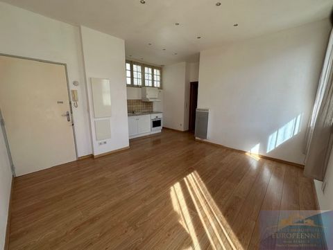 In the city center of Lourdes, commisariat district and overlooking the Place Peyramale, in a building at the end of the courtyard overlooking the garden, T2 type apartment including entrance, kitchen open to living room opening onto balcony, large b...