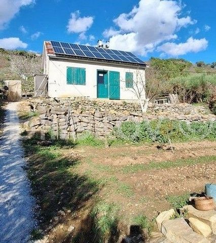 Tugare, 25 min. drive from Split, building plot of 700 m2 with a large orchard. It consists of two plots. There is a house on one of them (one bedroom, kitchen and dining room with a fireplace). On the second plot, which is next to the road, a projec...