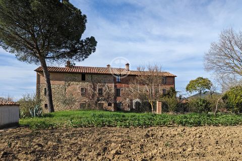 Il Fienile is spread on two levels plus an attic floor for a total of 156 sqm. On the ground floor there is a kitchen, a living room and a room used as a cellar; on the first floor there is a second living area, two double bedrooms and a bathroom; fi...