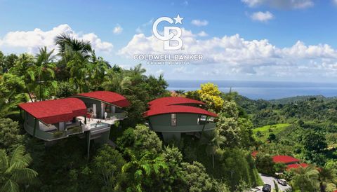 Explore a Spectacular Contemporary Tree House in Saman-- with Unforgettable Ocean and Mountain Views! Situated amidst the lush tropical paradise of Saman--, this exceptional and modern tree house invites you to immerse yourself in nature while indulg...