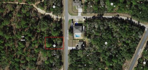 Build your dream home on this beautiful land. Great neighborhood and just about 20 minutes away from Three Sisters Springs and just minutes away from Citrus Springs Golf Club.