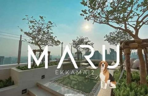 7-min walk to BTS Ekkamai The one-and-only pet-friendly condo within walking distance from BTS Ekkamai - Co-working space & quiet working room - Co-kitchen - Karaoke & music rehearsal rooms - Gym, sauna, and aerial yoga rooms - Rooftop swimming pool ...