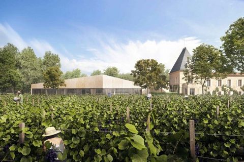 At the heart of the AOC ST EMILION GRAND CRU vineyards, this wine-growing estate of over 15 hectares is planted on the silico-clay soils of the northern plateau of Saint-Emilion, with three quarters Merlot and one quarter Cabernet Franc. The historic...