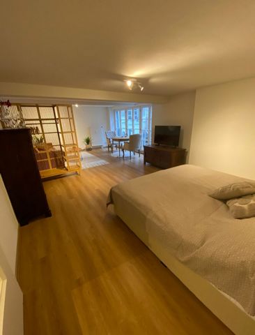 Old town flat in the heart of Baden-Baden city centre. This furnished flat of almost 50 square metres is located directly next to the historic Friedrichsbad (Roman baths) and the famous Caracalla thermal baths in one of the city's most beautiful stre...