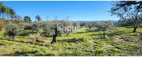 Set of five plots of land close to each other, with a vast and extensive area of 28895m2. Cultivated land with 200 olive trees, almond trees, vineyards, various fruit trees, mud flats, pine forests, natural wells and wells to store water. Great oppor...