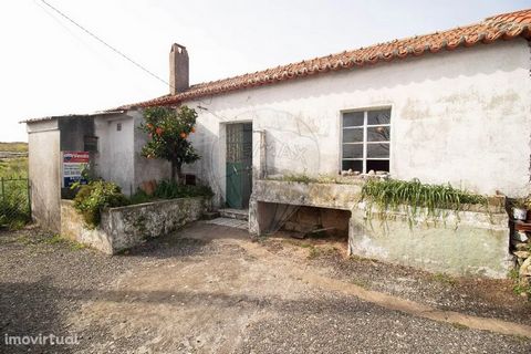 Ideale villa om te rehabiliteren gelegen in het dorp Carroqueiro met uitzicht op het dorp Monsanto, het meest Portugese dorp van Portugal. Investeringsmogelijkheid met haalbaarheid voor lokale accommodatie. Het bestaat uit 2 slaapkamers, woonkamer, k...