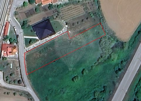 URBAN LAND - SOURE (URBANIZATION IN FORESTS)   Flat, urban land for housing construction, in the village of Soure, next to Santa Casa da Misericórdia. Easy access and quiet area.   We are available to help you make dreams come true, whether you buy o...