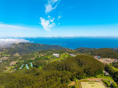 Découvrez votre propre paradis vert sur ce terrain de 81 420 m2 où la nature s'épanouit dans toute sa splendeur. Respirez l'air frais et ressentez la sérénité de ce refuge naturel à seulement 10 minutes du centre-ville de Santo da Serra et à 16 minut...