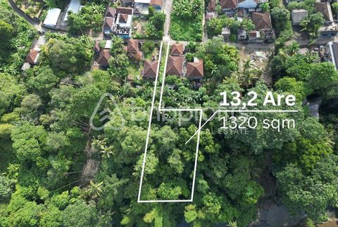 Welcome to an extraordinary opportunity to own a piece of paradise in the picturesque enclave of Nyanyi, where the lush landscapes of Bali’s countryside meet the tranquility of rural living. Presenting a rare offering of leasehold land, this expansiv...