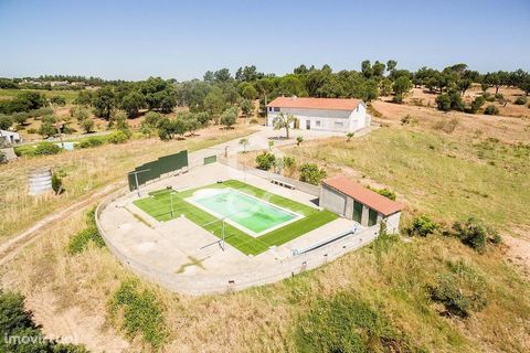 In the Valley of Joana in Cabeção, municipality of Mora, you will find this 2.3 ha farm with housing, swimming pool and 3 agricultural warehouses attached. The villa consists of: living room in open space with the kitchen; pantry; 1 bedroom; toilet c...