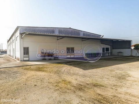 Warehouse in Marinhais (M551) Warehouse with 831 m2 inserted in plot of land with 4.166 m2 and with 2 fronts. -Land composed of well, tank and fruit trees. -Ground Floor with 1 room and 6 wc's -Dining area with toilet with 2 shower trays -Allocated t...