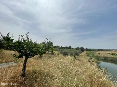 Farm with about 14.683m2 in the orca area - municipality of Fundão Excellent farm all fenced and with several fruit trees, olive trees, with plenty of water and a rural construction with about 50m2. This farm has: » 1 well, » 2 Dams with spring and w...