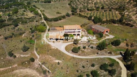LIVE IN A HAVEN OF PEACE! Cornex Capital presents this magnificent country house located at the foot of Montgrí, in the highest part of the village, with fantastic views of the Empordà and surrounded by countryside. The property has a country house w...